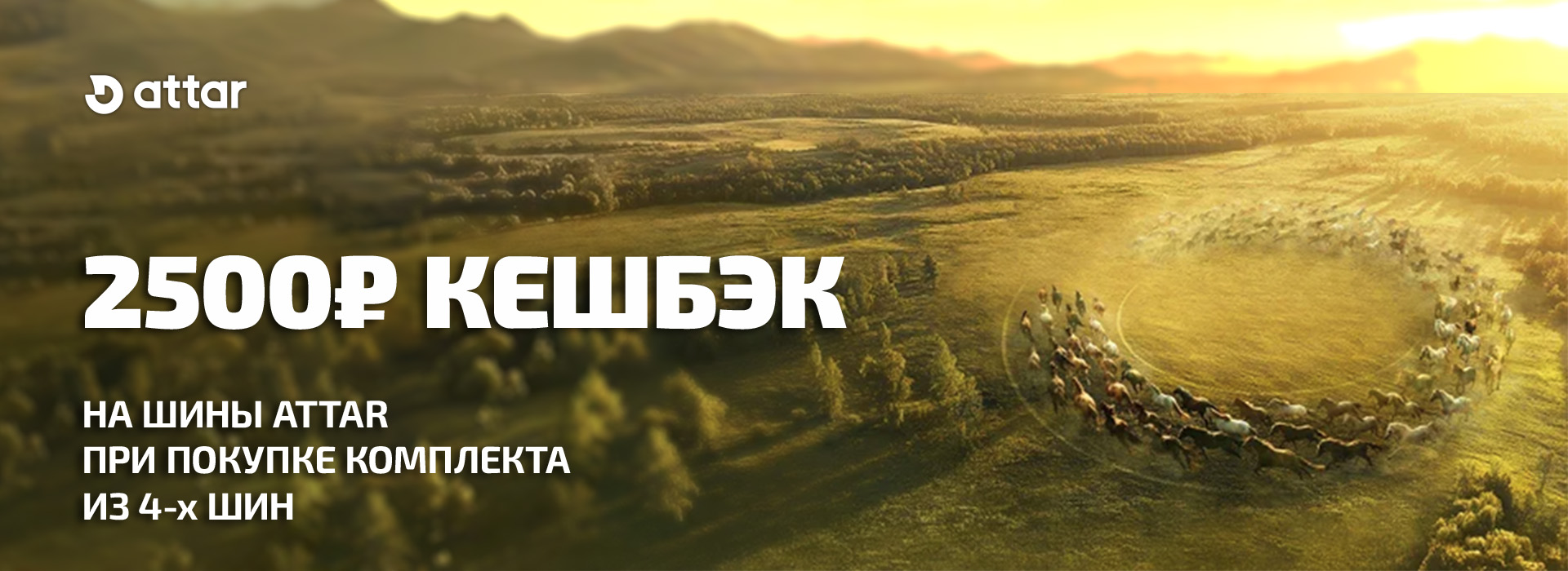 шины  Аттар