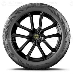 Ikon (Nokian Tyres) Autograph Snow 5 SUV 235/50 R20 104T